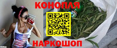 дмт Дубна