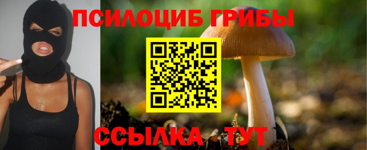 Псилоцибиновые грибы прущие грибы  Вход с VPN  Назарово  Псилоцибиновые грибы Magic Shrooms 